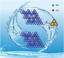 Graphical abstract: Highly efficient removal of Cs+ from water by an ionic lamellar carbon nitride framework