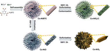Graphical abstract: An urchin-like Co-doped NiS2/C nanorod array with enriched sulfur vacancies for asymmetric supercapacitors