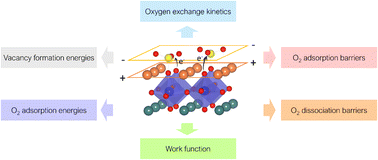 Graphical abstract: Electronic and ionic effects of sulphur and other acidic adsorbates on the surface of an SOFC cathode material