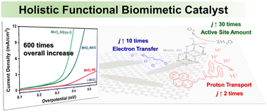 Graphical abstract: Holistic functional biomimetics: a key to make an efficient electrocatalyst for water oxidation