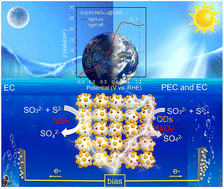 Graphical abstract: MOF-derived porous ZnO integrated with NiO and colloidal QDs for efficient hydrogen generation via a synergistic photoelectrochemical and electrochemical process