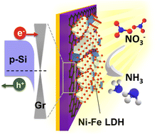 Graphical abstract: Efficient ammonia photosynthesis from nitrate by graphene/Si Schottky junction integrated with Ni–Fe LDH catalyst