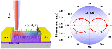 Graphical abstract: Self-powered, ultra-broadband, and polarization-sensitive photodetectors based on 1D van der Waals layered material Nb2Pd3Se8