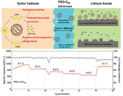 Graphical abstract: A three-in-one C60-integrated PEO-based solid polymer electrolyte enables superior all-solid-state lithium–sulfur batteries