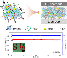 Graphical abstract: Highly dispersed and functionalized boron nitride nanosheets contribute to ultra-stable long-life all-solid-state batteries