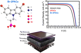 Graphical abstract: A carbazole-based self-assembled monolayer as the hole transport layer for efficient and stable Cs0.25FA0.75Sn0.5Pb0.5I3 solar cells