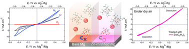 Graphical abstract: Oxygen – a fatal impurity for reversible magnesium deposition/dissolution