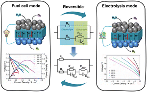 Graphical abstract: A double perovskite oxygen electrode in Zr-rich proton conducting ceramic cells for efficient electricity generation and hydrogen production