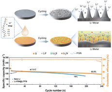 Graphical abstract: A polythiourea protective layer for stable lithium metal anodes