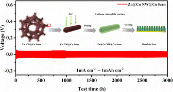 Graphical abstract: Constructing a well-wettable interface on a three-dimensional copper foam host with reinforced copper nanowires to stabilize zinc metal anodes