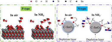 Graphical abstract: Highly selective room temperature ammonia gas sensors based on d-band C-SnO2 and response behavior induced by oxidative and reductive role shifts