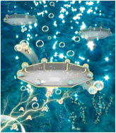 Graphical abstract: A two-dimensional heterogeneous structured Ni3Se2@MoO3 catalyst for seawater electrolysis