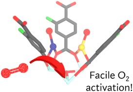 Graphical abstract: Controlled synthesis of Cu,Fe dual-atom catalysts restrained on metal–organic frameworks for efficient O2 activation