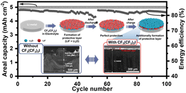 Graphical abstract: A fluoroalkyl iodide additive for Li–O2 battery electrolytes enables stable cycle life and high reversibility