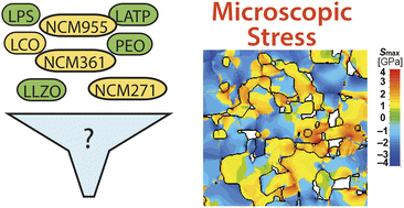 Graphical abstract: Modelling electro-chemically induced stresses in all-solid-state batteries: screening electrolyte and cathode materials in composite cathodes