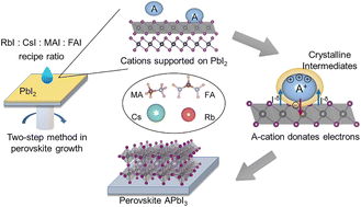 Graphical abstract: Recipe for the design of mixed cation lead halide perovskites: adsorption and charge transfer from A-site cations to PbI2