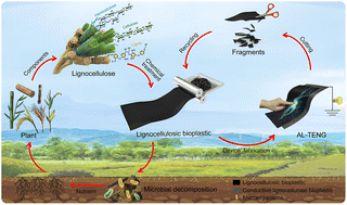 Graphical abstract: A strong, biodegradable, and recyclable all-lignocellulose fabricated triboelectric nanogenerator for self-powered disposable medical monitoring