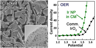 Graphical abstract: A cracked carbon matrix decorated with amorphous IrOx for boosting the oxygen evolution reaction in electrochemical water splitting