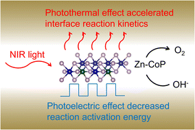 Graphical abstract: Electrocatalytic water oxidation of coral-like porous Zn-CoP nanohybrids synergistically inspired by photothermal and photoelectronic effects