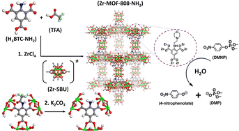 Graphical abstract: Enhancement of catalytic hydrolysis activity for organophosphates by the metal–organic framework MOF-808-NH2via post-synthetic modification