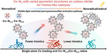 Graphical abstract: The structure-dependent mechanism of single-atom cobalt on macroporous carbon nitride in (photo-)Fenton-like reactions