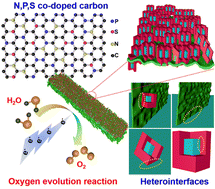 Graphical abstract: A phase and interface co-engineered MoPxSy@NiFePxSy@NPS-C hierarchical heterostructure for sustainable oxygen evolution reaction