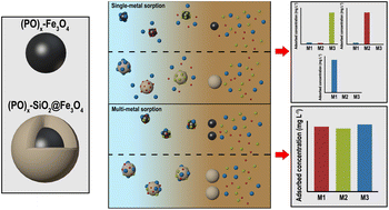 Graphical abstract: Selective radionuclide and heavy metal sorption using functionalised magnetic nanoparticles for environmental remediation