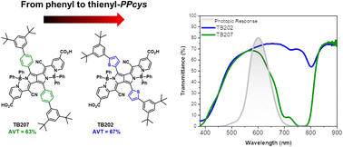 Graphical abstract: Transparent and colorless DSSCs featuring thienyl-pyrrolopyrrole cyanine sensitizers