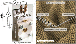 Graphical abstract: In situ investigation of ion exchange membranes reveals that ion transfer in hybrid liquid/gas electrolyzers is mediated by diffusion, not electromigration