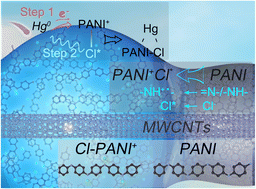 Graphical abstract: Spontaneous adsorption–oxidation of gaseous elemental mercury via a conjugated unit –NH+˙–Cl*: creation and mechanisms