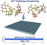 Graphical abstract: Cellulose-complexing strategy induced surface regulation towards ultrahigh utilization rate of Zn