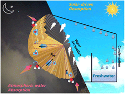 Graphical abstract: Bioinspired topological design with unidirectional water transfer for efficient atmospheric water harvesting