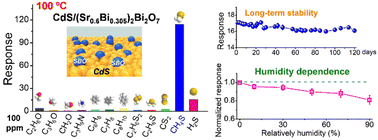 Graphical abstract: Highly selective and sensitive detection of methyl mercaptan by heterostructural CdS/(Sr0.6Bi0.305)2Bi2O7 chemiresistor