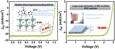 Graphical abstract: Multifunctional molecule interface modification for high-performance inverted wide-bandgap perovskite cells and modules