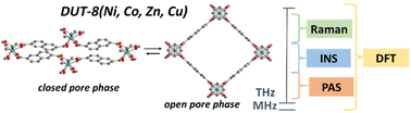 Graphical abstract: The role of phonons in switchable MOFs: a model material perspective