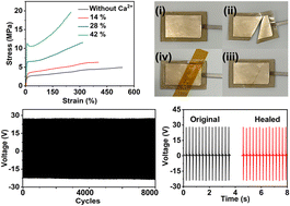 Graphical abstract: Robust and durable triboelectric nanogenerators enabled by a mechanically strong and mildly healable polymer