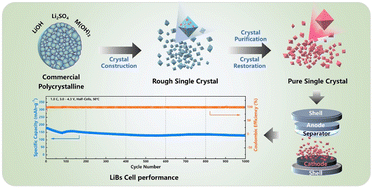 Graphical abstract: Engineering commercial polycrystalline precursors to single crystal Ni-rich cathodes with outstanding long-cycle performance