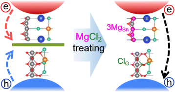 Graphical abstract: Self-selective passivation of diversely charged SnO2/CsPbI3 heterointerfaces using binary ionic compounds