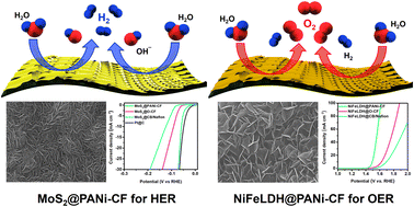 Graphical abstract: Polyaniline induced multi-functionalities in interfacially coupled electrocatalysts for hydrogen/oxygen evolution reactions