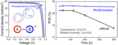 Graphical abstract: Effect of functional groups in passivating materials on stability and performance of perovskite solar cells