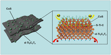 Graphical abstract: An interfacial covalent bonding coupled ultrafine CuS-nanocrystals/MXene heterostructure for efficient and durable magnesium storage