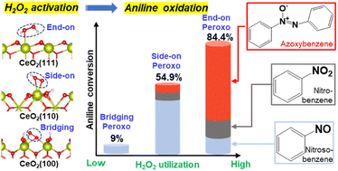 Graphical abstract: Facet-dependent peroxo species regulate product distribution and H2O2 utilization in CeO2-catalyzed aniline oxidation