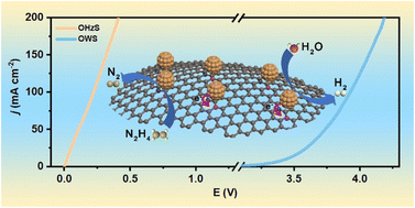 Graphical abstract: Boosting hydrazine oxidation and hydrogen evolution catalysis with anchored Ru clusters by electronically tunable Ru–S–C bonds