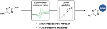 Graphical abstract: Identifying structure-function relationships to modulate crossover in nonaqueous redox flow batteries