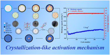 Graphical abstract: Insights into a crystallization-like activation mechanism of diatom biosilica as an anode for next-generation Li-ion batteries