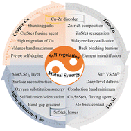 Graphical abstract: A critical review on rational composition engineering in kesterite photovoltaic devices: self-regulation and mutual synergy