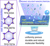 Graphical abstract: Flexible covalent organic framework membranes with linear aliphatic amines for enhanced organic solvent nanofiltration
