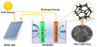 Graphical abstract: Construction of desert rose flower-shaped NiFe LDH-Ni3S2 heterostructures via seawater corrosion engineering for efficient water-urea splitting and seawater utilization