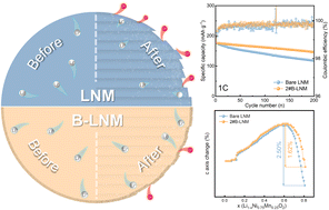 Graphical abstract: Dual-functional boron-modification on a cobalt-free single-crystal layered cathode for high-voltage lithium-ion batteries