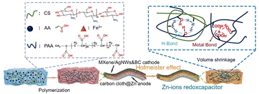 Graphical abstract: A Hofmeister effect induced hydrogel electrolyte–electrode interfacial adhesion enhancement strategy for energy-efficient and mechanically robust redoxcapacitors